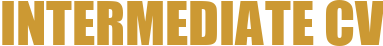 INTERMEDIATE CV